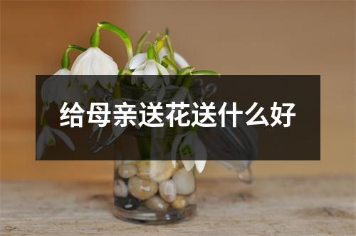 给母亲送花送什么好