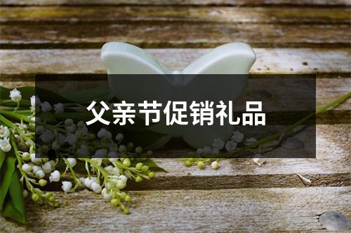 父亲节促销礼品