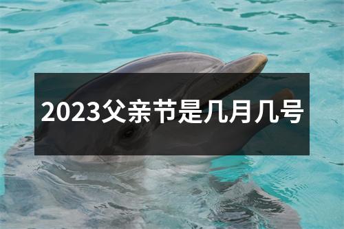 2023父亲节是几月几号