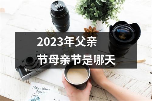 2023年父亲节母亲节是哪天