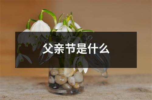 父亲节是什么