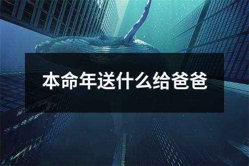 本命年送什么给爸爸