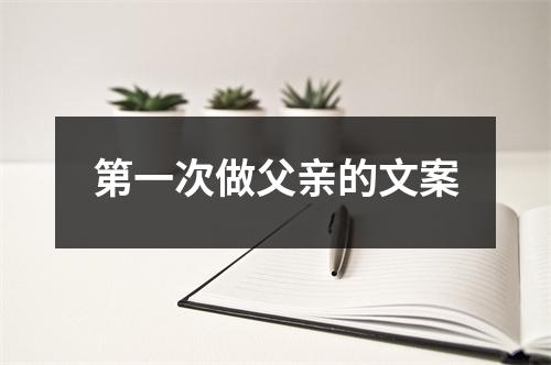 第一次做父亲的文案