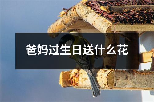 爸妈过生日送什么花