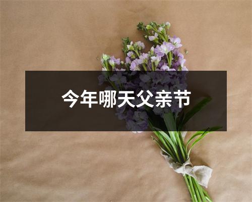 今年哪天父亲节