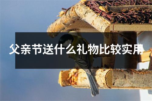 父亲节送什么礼物比较实用