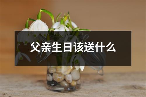 父亲生日该送什么