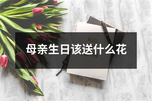 母亲生日该送什么花