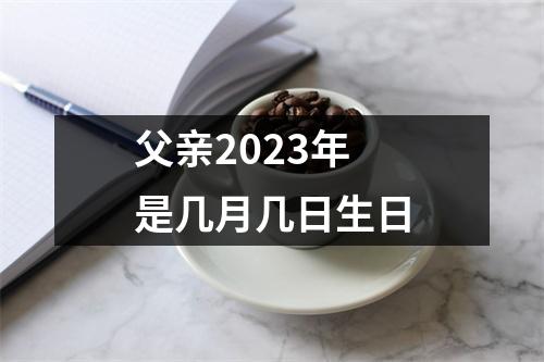 父亲2023年是几月几日生日