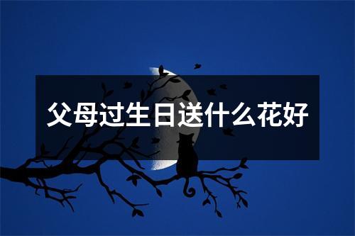 父母过生日送什么花好