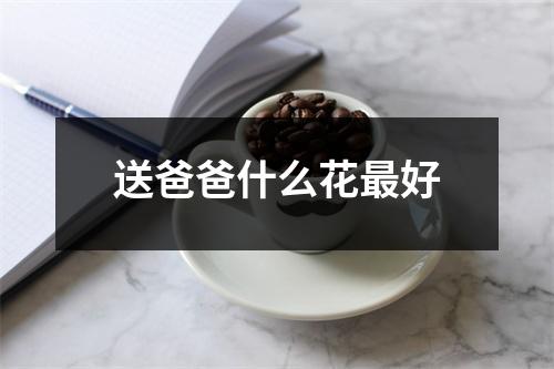 送爸爸什么花最好