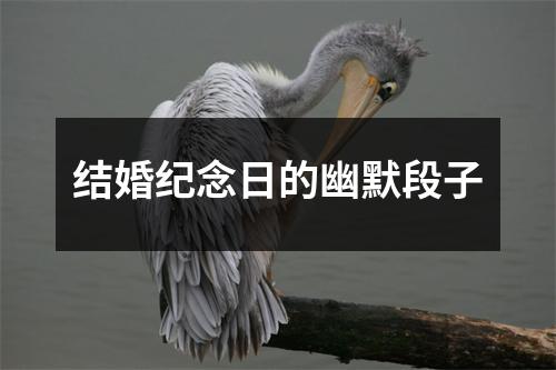 结婚纪念日的幽默段子