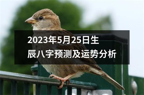 2023年5月25日生辰八字预测及运势分析