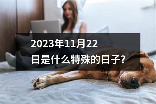 2023年11月22日是什么特殊的日子？