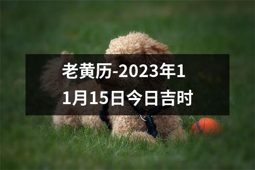 老黄历-2023年11月15日今日吉时