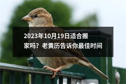 2023年10月19日适合搬家吗？老黄历告诉你佳时间