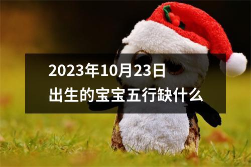 2023年10月23日出生的宝宝五行缺什么