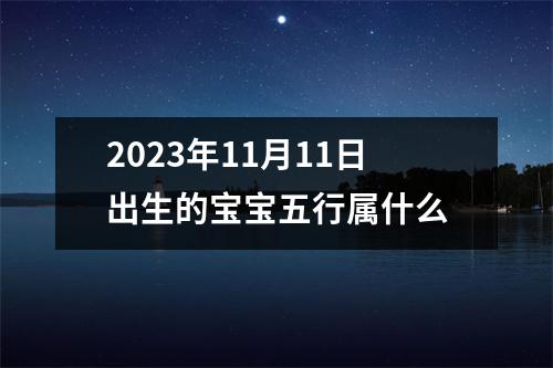 2023年11月11日出生的宝宝五行属什么