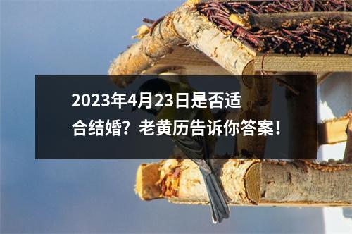 2023年4月23日是否适合结婚？老黄历告诉你答案！