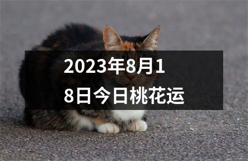 2023年8月18日今日桃花运