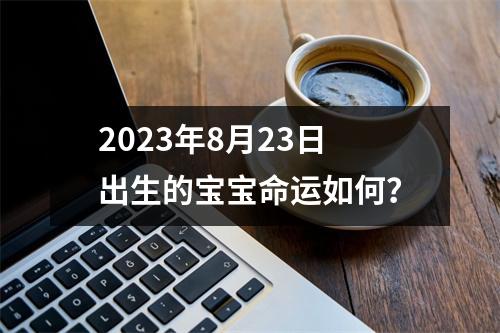 2023年8月23日出生的宝宝命运如何？