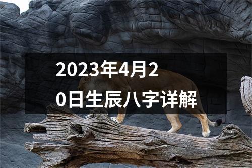 2023年4月20日生辰八字详解