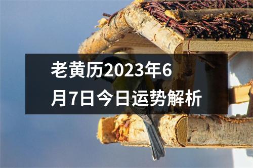 老黄历2023年6月7日今日运势解析