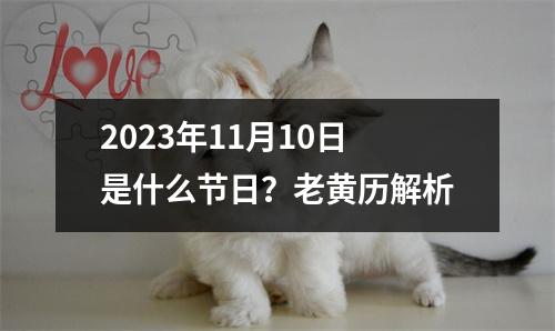 2023年11月10日是什么节日？老黄历解析