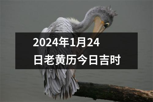 2024年1月24日老黄历今日吉时