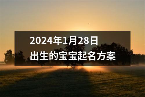 2024年1月28日出生的宝宝起名方案