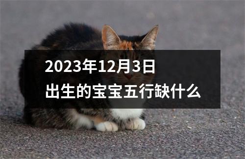 2023年12月3日出生的宝宝五行缺什么