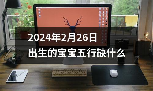 2024年2月26日出生的宝宝五行缺什么