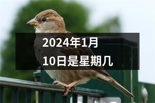 2024年1月10日是星期几