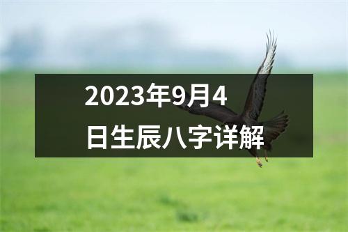 2023年9月4日生辰八字详解