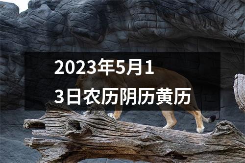 2023年5月13日农历阴历黄历