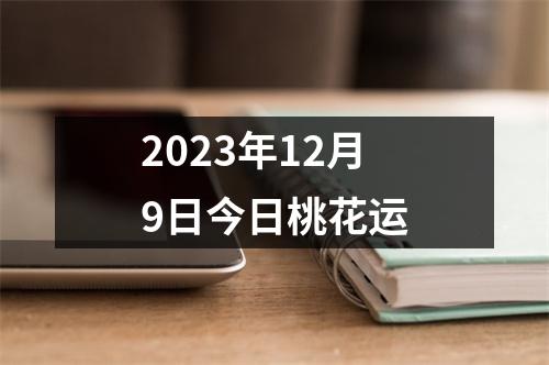 2023年12月9日今日桃花运