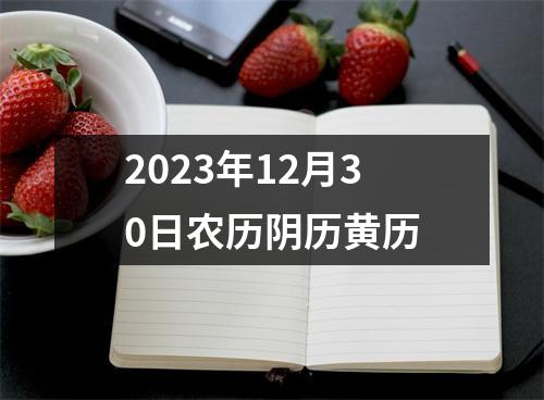 2023年12月30日农历阴历黄历