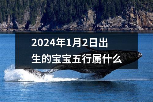 2024年1月2日出生的宝宝五行属什么