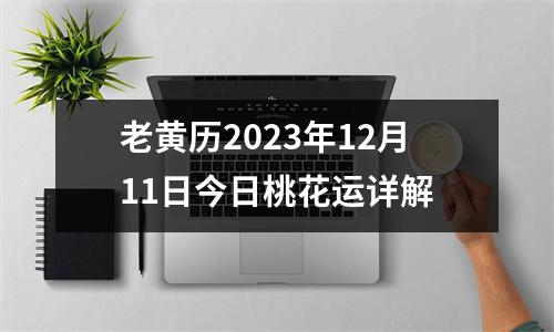 老黄历2023年12月11日今日桃花运详解