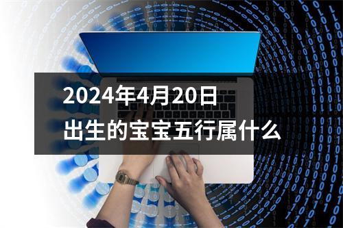 2024年4月20日出生的宝宝五行属什么