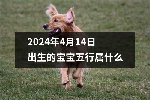 2024年4月14日出生的宝宝五行属什么