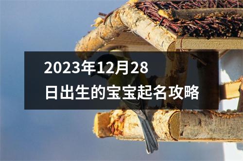 2023年12月28日出生的宝宝起名攻略