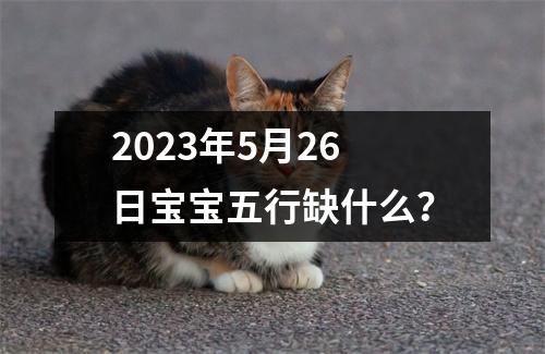 2023年5月26日宝宝五行缺什么？