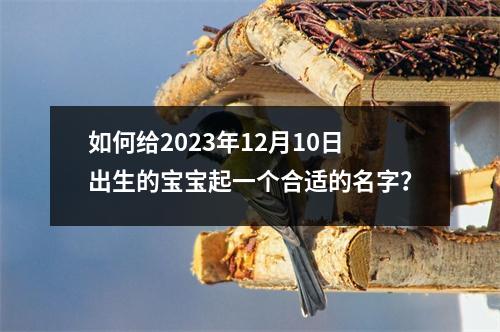 如何给2023年12月10日出生的宝宝起一个合适的名字？