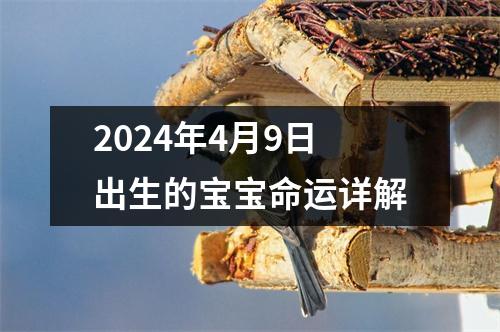 2024年4月9日出生的宝宝命运详解