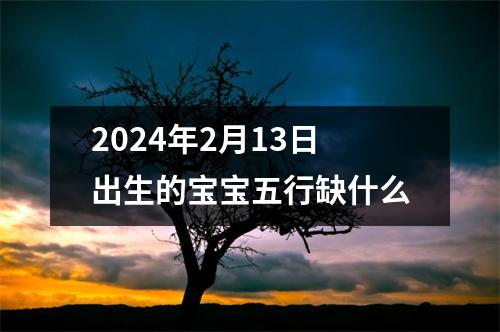 2024年2月13日出生的宝宝五行缺什么