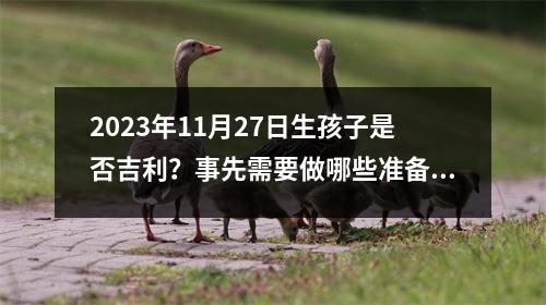 2023年11月27日生孩子是否吉利？事先需要做哪些准备？