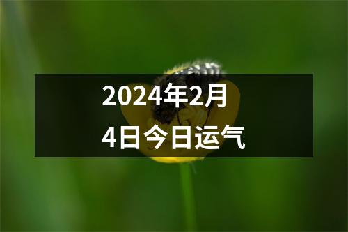 2024年2月4日今日运气