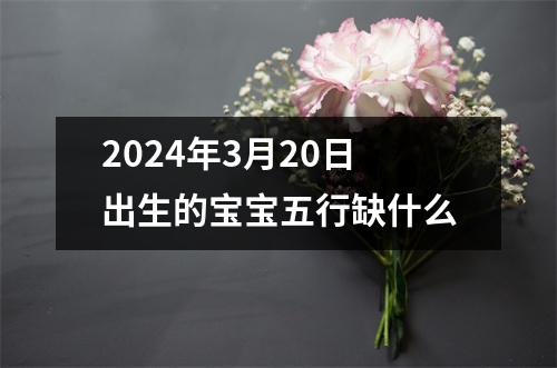 2024年3月20日出生的宝宝五行缺什么