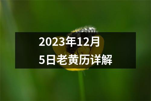 2023年12月5日老黄历详解